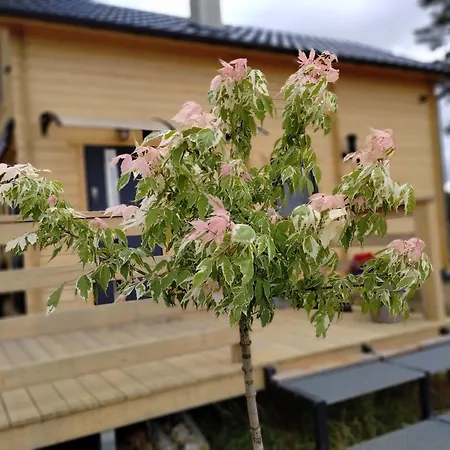 Dom wakacyjny Na Winklu *